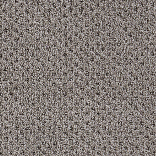 Oxford Polypropylene Worsted Carpet Loop 1