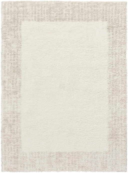 Pacific Shag Ivory Beige IVBGE