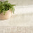 Pacific Shag Polyester IVBGE Ivory Beige