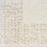 Pacific Shag Polyester Ivory Beige IVBGE
