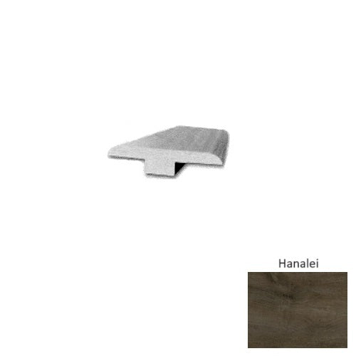 Hanalei PAR20100XLTM