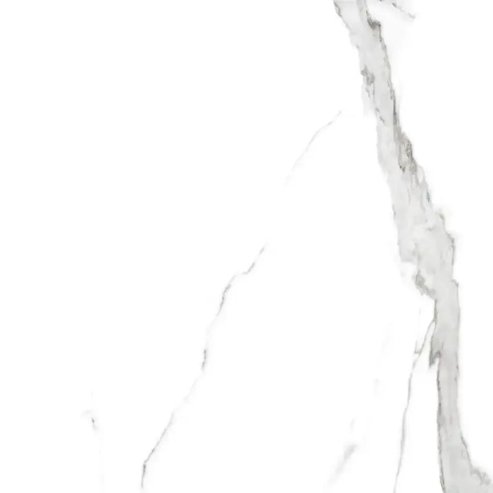 Statuario Classico Porcelain White Tile Matte 1