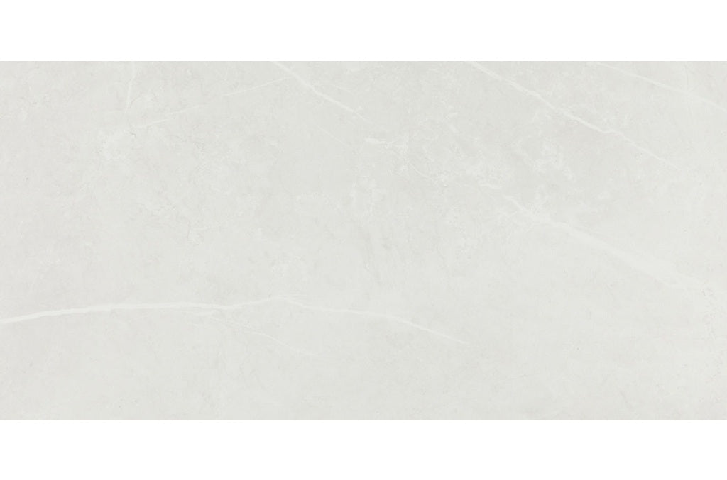 Core Fundamentals Platinum Porcelain Cloud PH60 Tile Matte 1