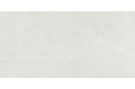 Core Fundamentals Platinum Porcelain Cloud PH60 Tile Matte 1