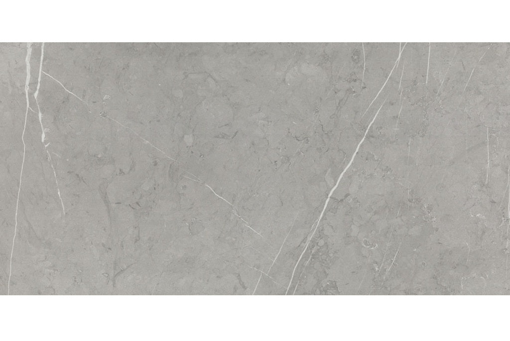 Core Fundamentals Platinum Ceramic Mist PH61 Tile Glossy 1