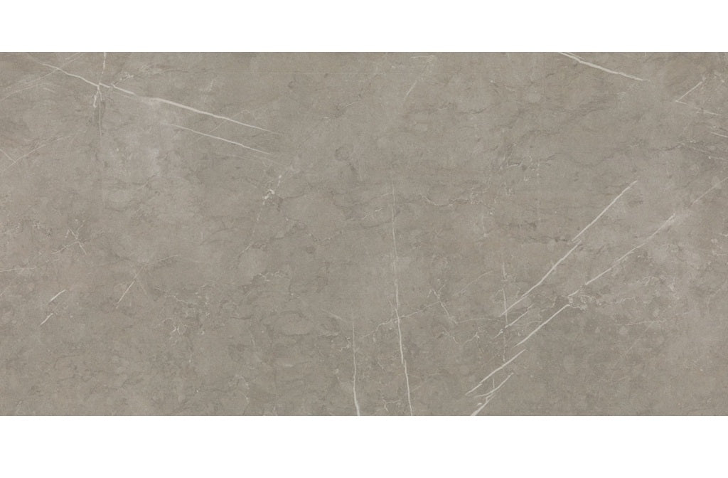 Core Fundamentals Platinum Porcelain Sand PH62 Tile Matte 1