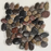 Pebble Mixed Salad Interlocking Round Mosaic Polished 1