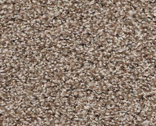 Clarity Nylon Rodeo 00710  Carpet PZ039 Textured 1