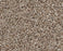 Clarity Nylon Rodeo 00710  Carpet PZ039 Textured 1