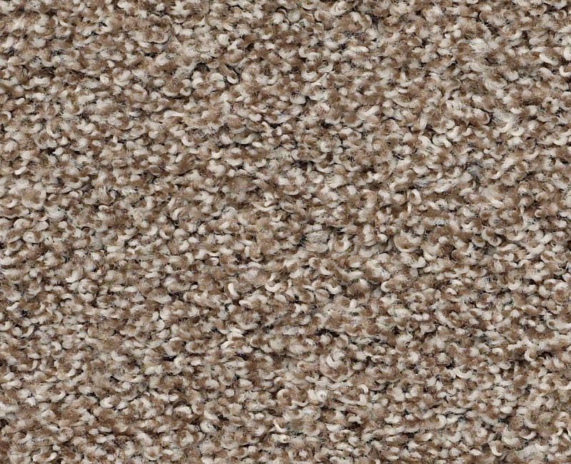 Clarity Nylon Rodeo 00710  Carpet PZ039 Textured 1