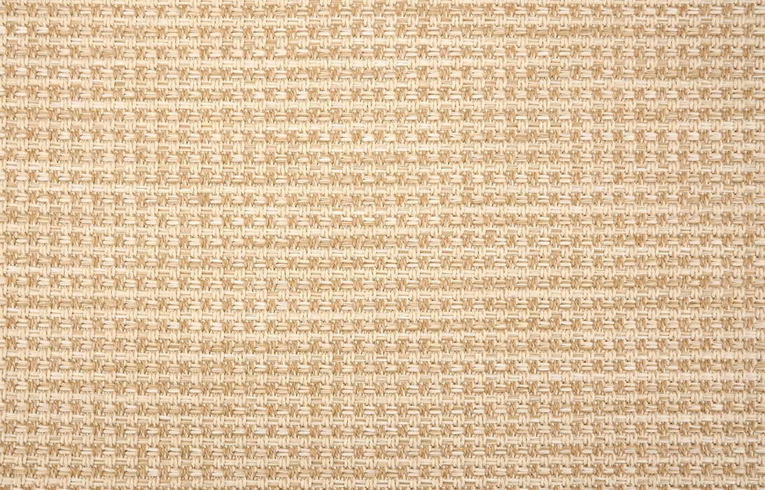 Palm Cove Polypropylene Almond 21131 Carpet Pattern 1