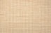 Palm Cove Polypropylene Almond 21131 Carpet Pattern 1