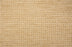 Palm Cove Polypropylene Golden Wheat 21132 Carpet Pattern 1