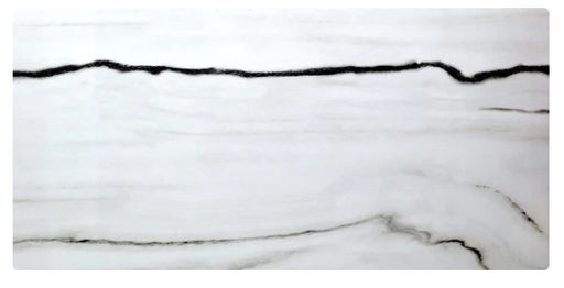 Panda Nero Polished Porcelain Tile - 24" x 48" x 1/3"