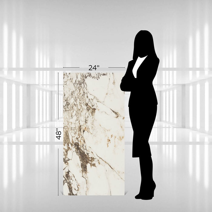 Panoramic Duet Porcelain Calacatta Aries CM21 Tile Polished 6