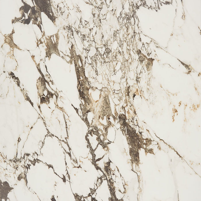 Panoramic Duet Porcelain Calacatta Aries CM21 Tile Polished 1