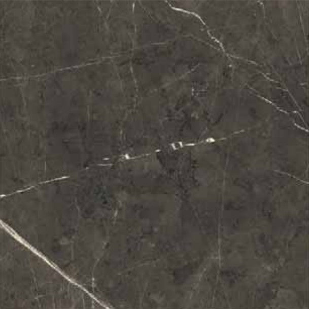 Full Tile Sample - Antique Marble Pantheon Porcelain Tile - 12" x 24" x 3/8" Honed