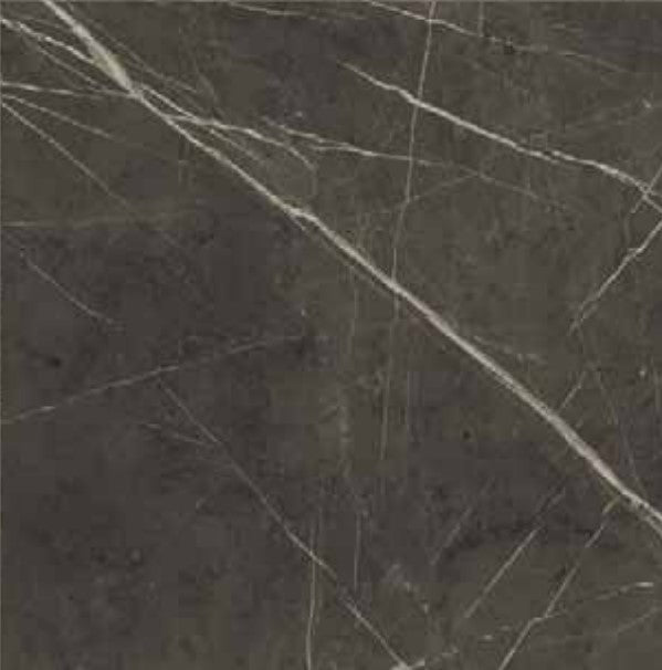 Full Tile Sample - Antique Marble Pantheon Porcelain Tile - 12" x 24" x 3/8" Polished