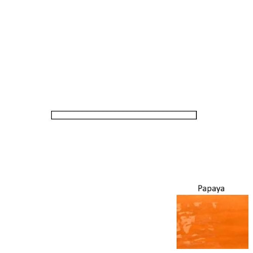 Joyful Ceramic Papaya TONJOYF Quarter Round Glossy 1