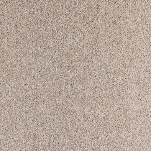 Paramount Polypropylene Supreme Natural Carpet Textured 1