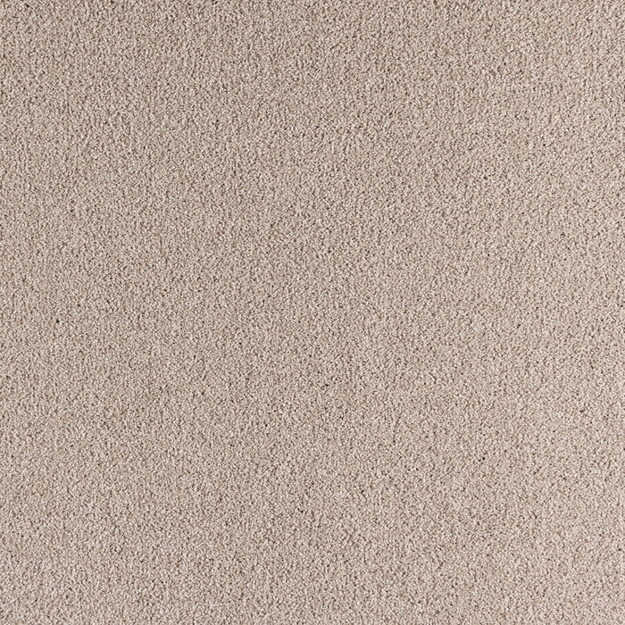 Paramount Polypropylene Supreme Natural Carpet Textured 2