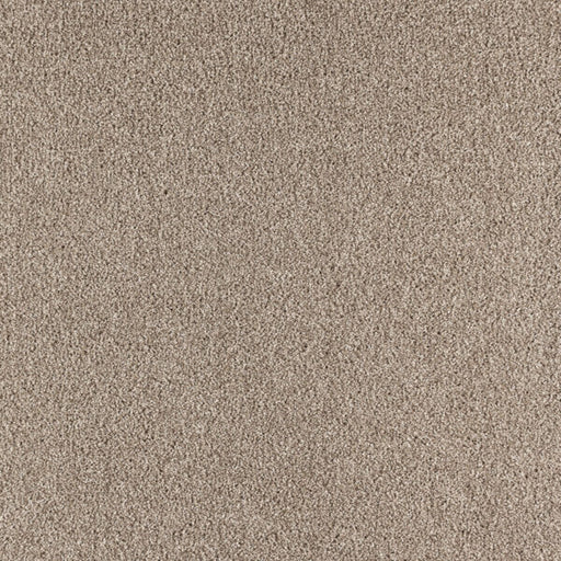 Paramount Polypropylene Super Natural Carpet Textured 1