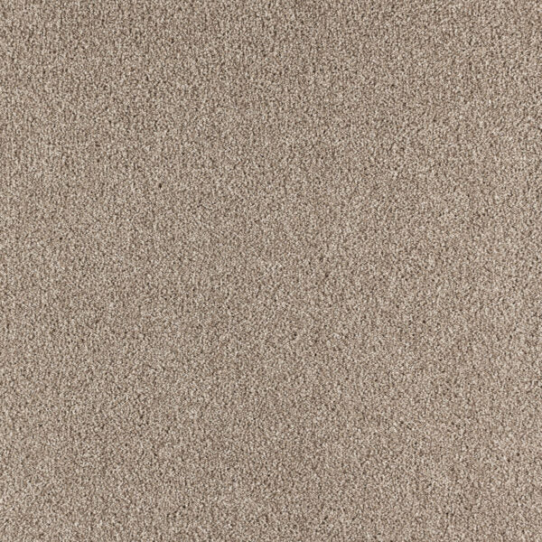 Paramount Polypropylene Super Natural Carpet Textured 1
