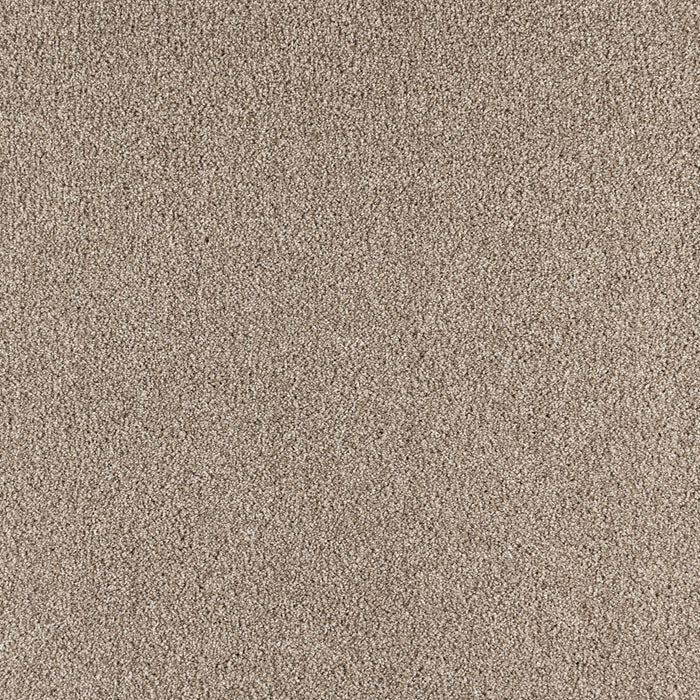 Paramount Polypropylene Super Natural Carpet Textured 2
