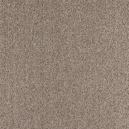 Paramount Polypropylene Highland Carpet Textured 1