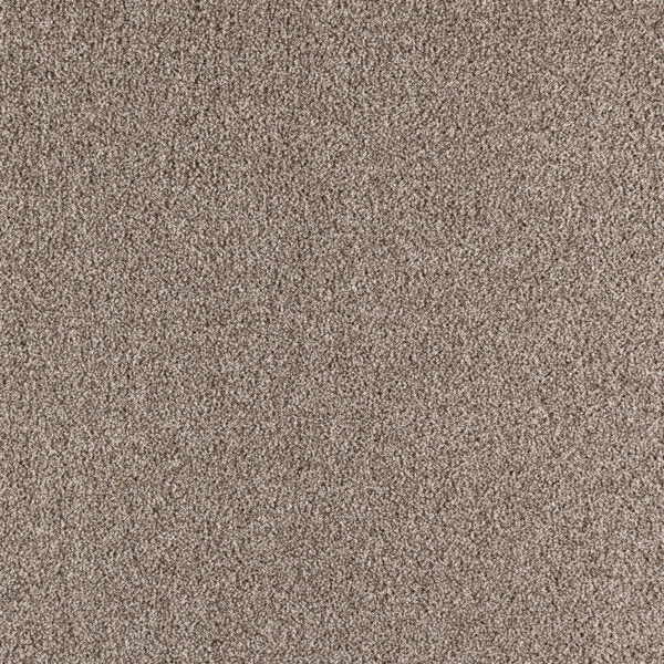 Paramount Polypropylene Highland Carpet Textured 1