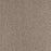Paramount Polypropylene Highland Carpet Textured 2