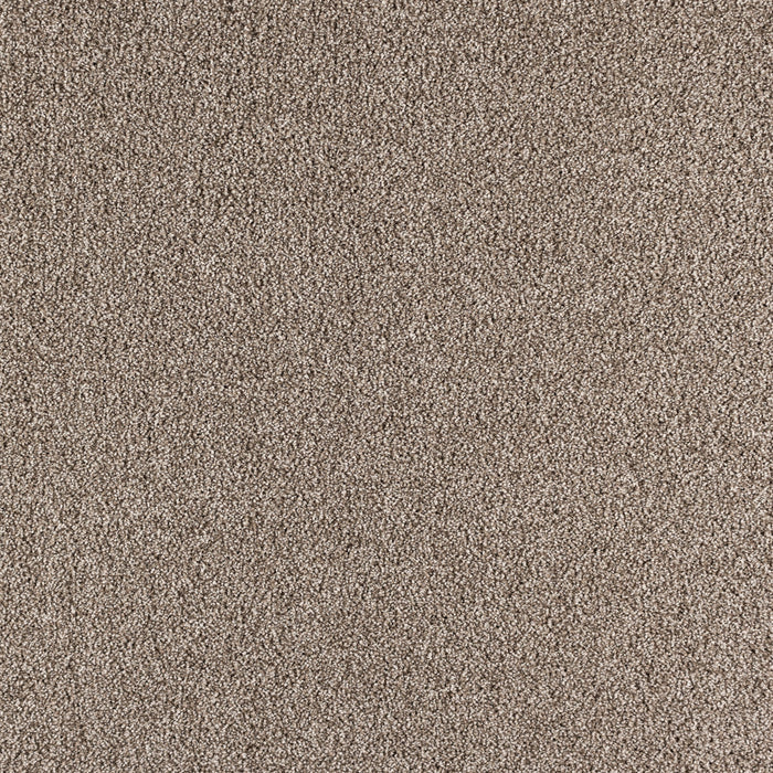 Paramount Polypropylene Highland Carpet Textured 2