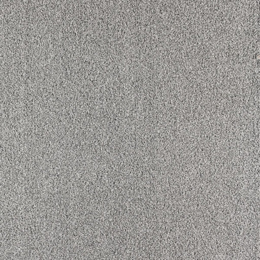 Paramount Polypropylene First Watch Carpet Textured 1