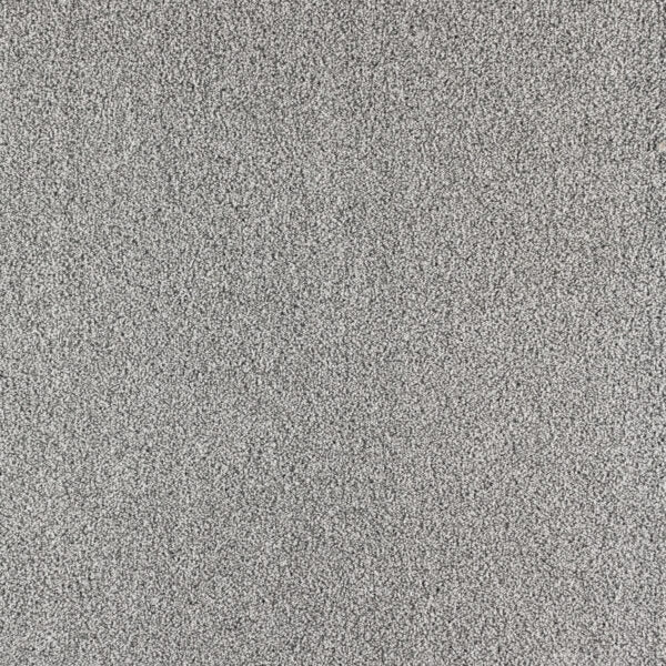 Paramount Polypropylene First Watch Carpet Textured 1