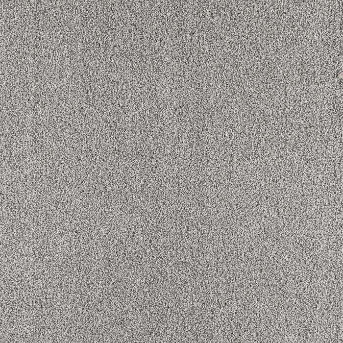Paramount Polypropylene First Watch Carpet Textured 2