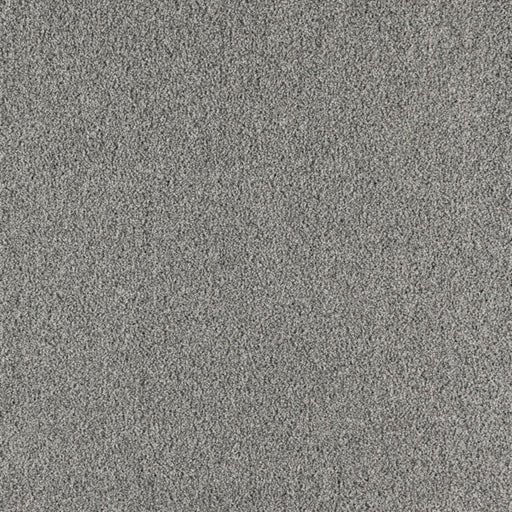 Paramount Polypropylene Prime Gray Carpet Textured 1