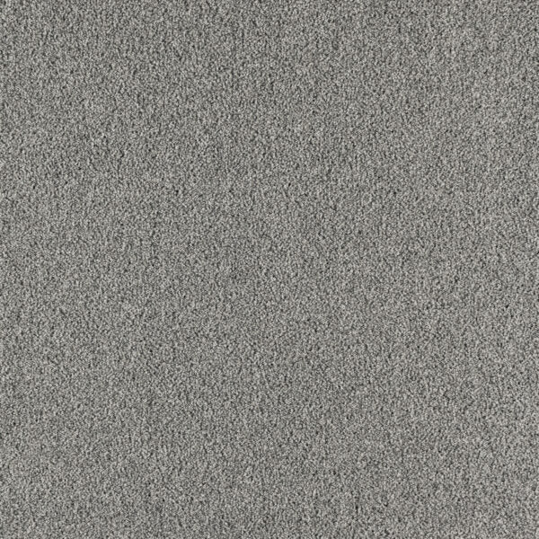 Paramount Polypropylene Prime Gray Carpet Textured 1
