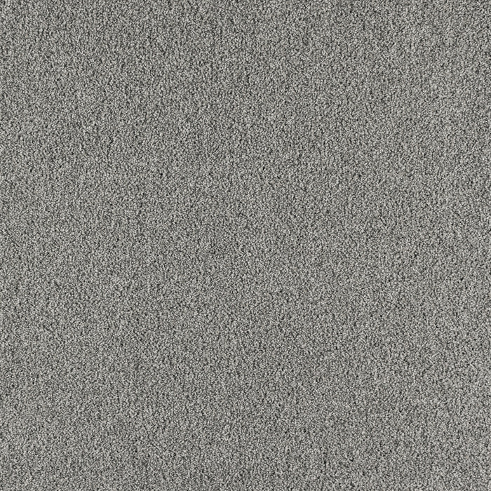 Paramount Polypropylene Prime Gray Carpet Textured 2