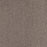 Paramount Polypropylene Stoney Peak Carpet Textured 1