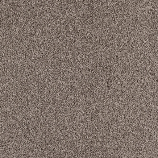 Paramount Polypropylene Stoney Peak Carpet Textured 1