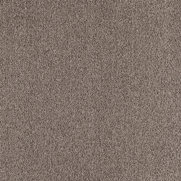 Paramount Polypropylene Stoney Peak Carpet Textured 1