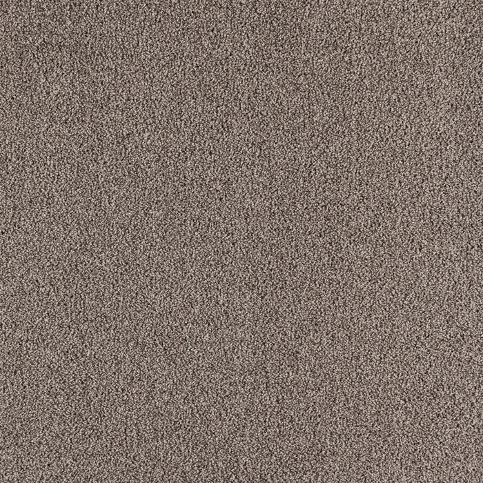 Paramount Polypropylene Stoney Peak Carpet Textured 2