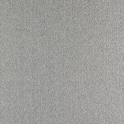 Paramount Polypropylene Fine Mist Carpet Textured 1