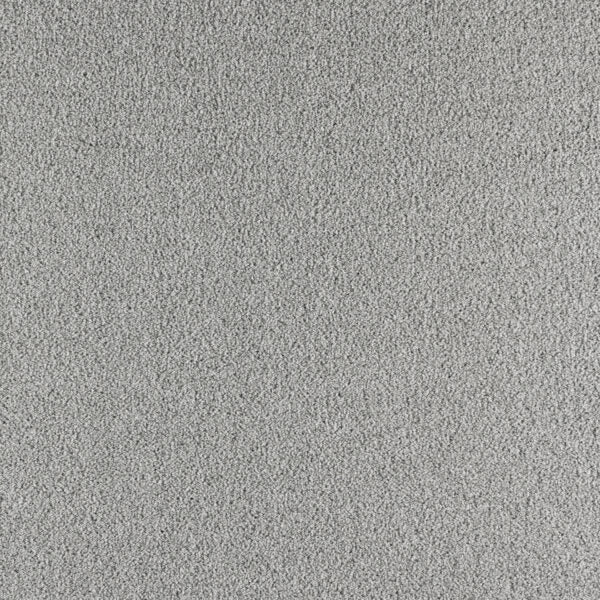 Paramount Polypropylene Fine Mist Carpet Textured 1