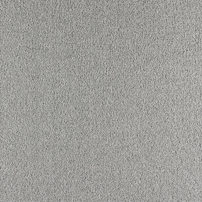 Paramount Polypropylene Fine Mist Carpet Textured 2