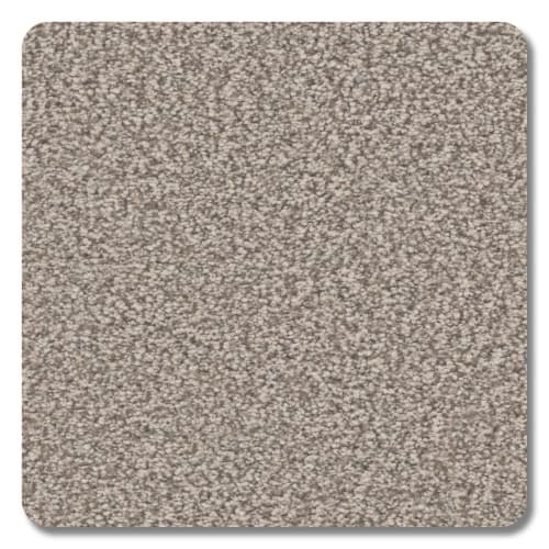 Park City Polyester Cobalt Carpet Textured 2