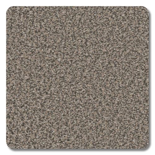 Park City Polyester Creek Bed Carpet Textured 2
