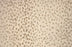Pearlina Wool Blend Antique 34012 Carpet Pattern 1