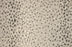 Pearlina Wool Blend Fog 34011 Carpet Pattern 1