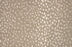 Pearlina Wool Blend Fossil 34016 Carpet Pattern 1